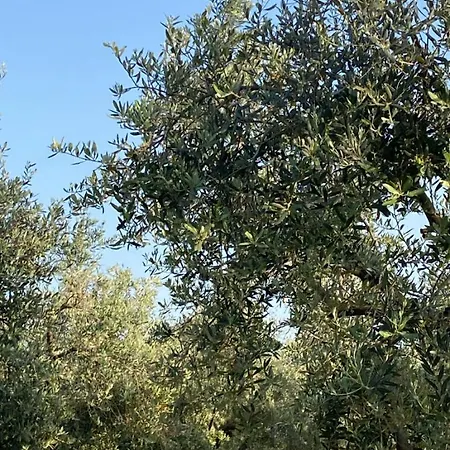 La Casa Di Sara Daire Racale