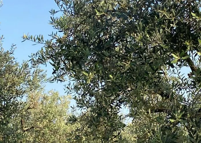 La Casa Di Sara Lejlighed Racale