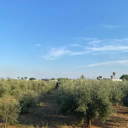 شقة La Casa Di Sara